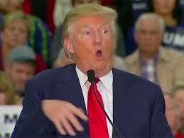 Trump, mocking a disabled person