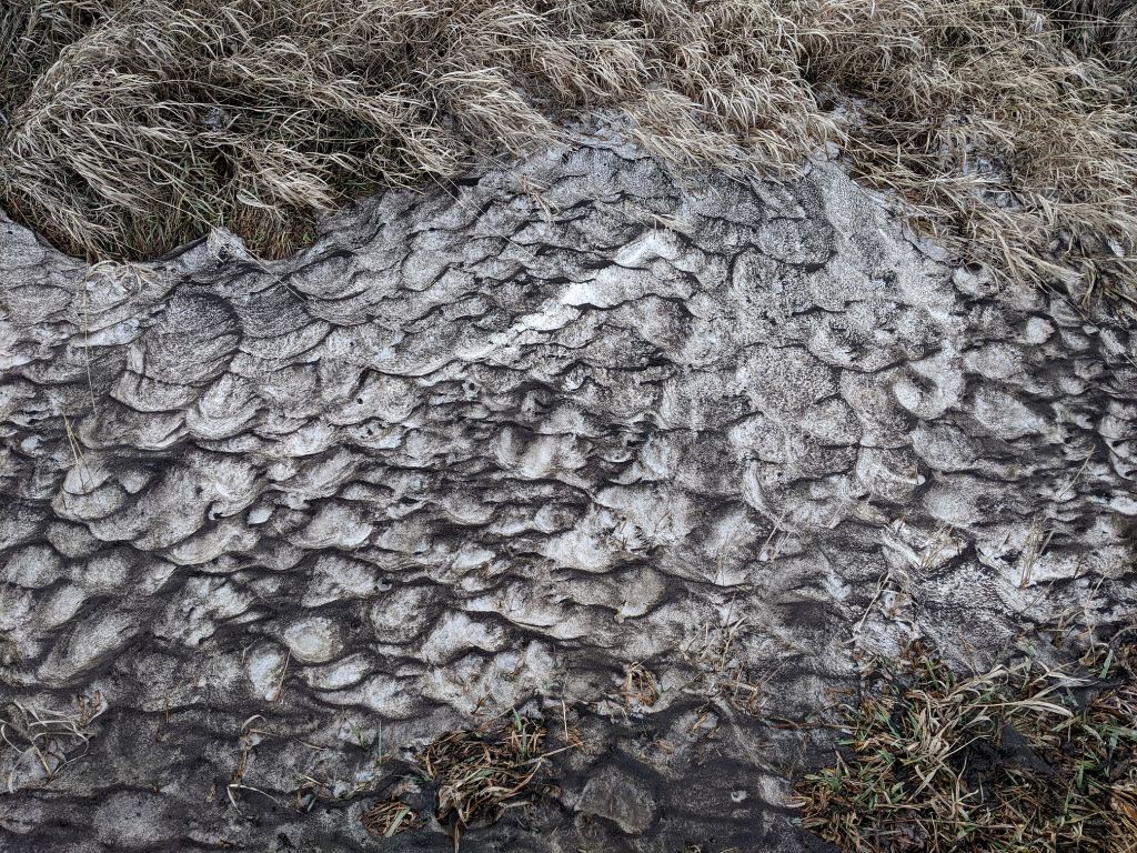 Another context show of the snowdrift. 